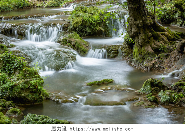 户外森林中的瀑布长时间暴露在绿色森林中的小瀑布河